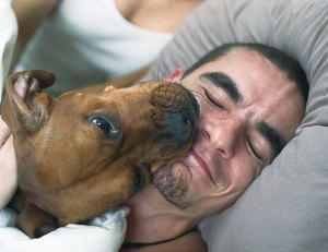 dogkiss